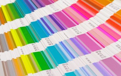 Choosing Colors for Your Brand with Carly Wilkie