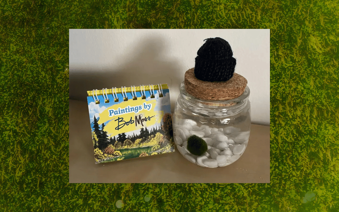 A Targeted Ad That Led Me to My Pet Moss