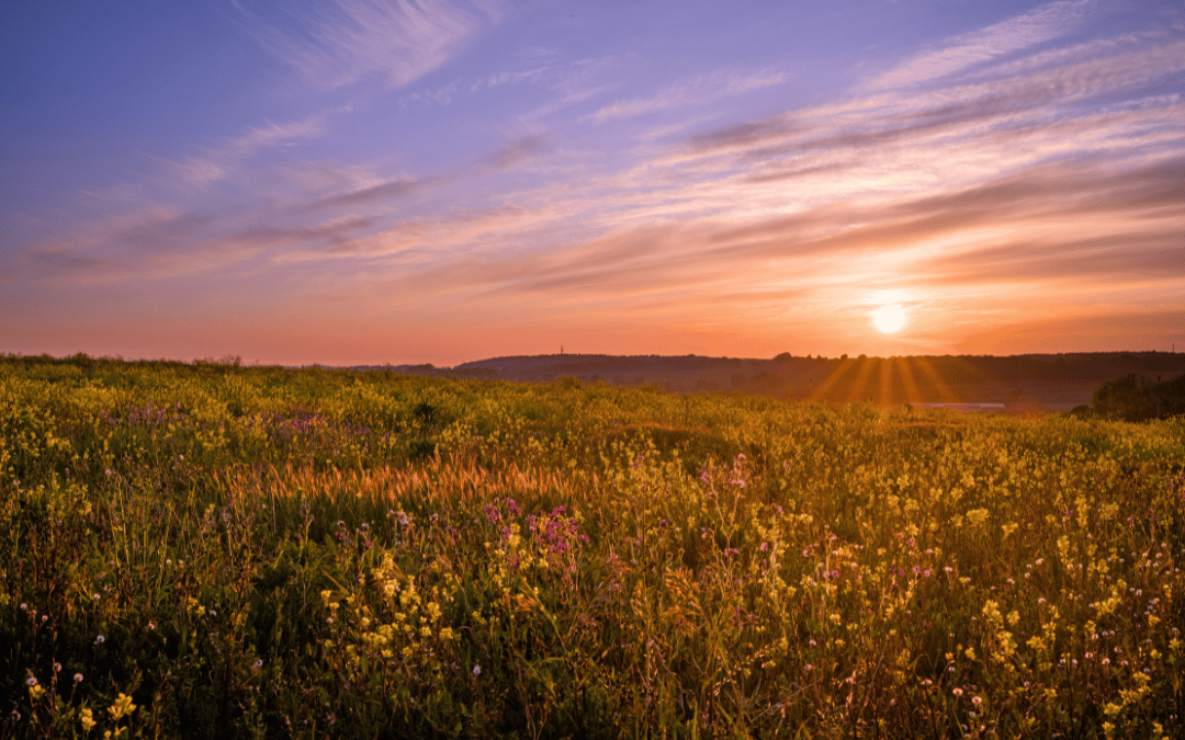 How I Decided to Sunset Part of My Marketing